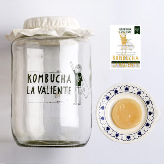 Kit Básico para hacer Kombucha